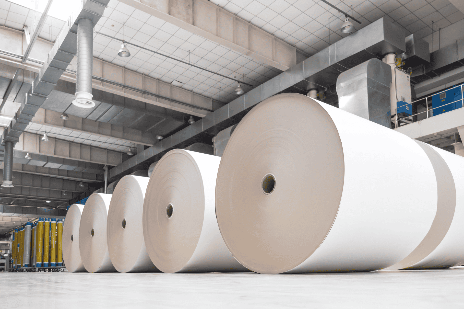Setor papel